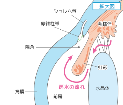 拡大図